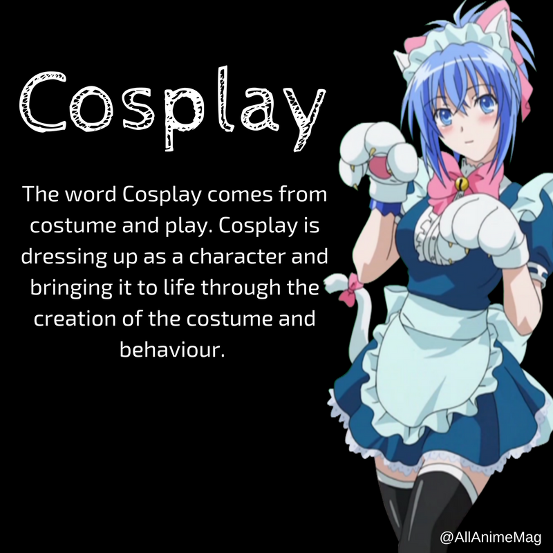 Anime Dictionary Cosplay