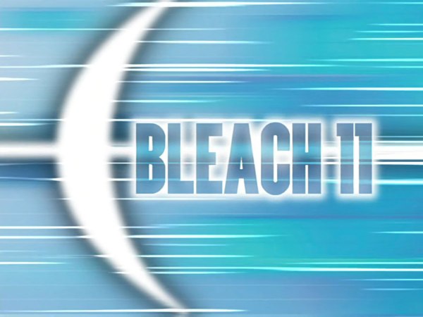 Bleach-011-Agent-of-the-Shinigami-Arc-The-Legendary-Quincy-Episode-Number