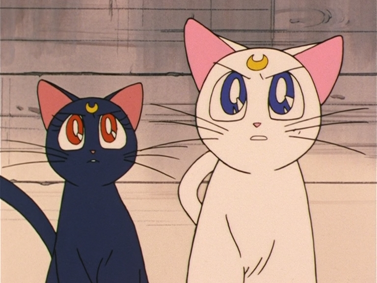 Sailor Moon S Luna and Artimis Anime Cat